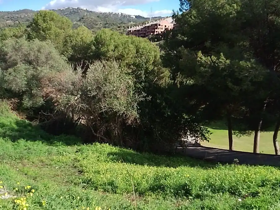 Terreni e lotti in vendita a Paseo del Golf 4, imagen 6