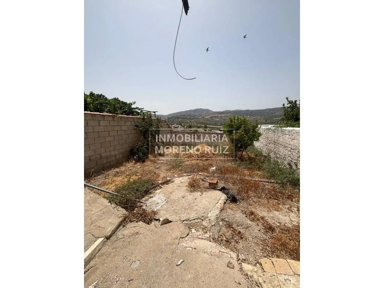 Maison à vendre à Luque, imagen 3