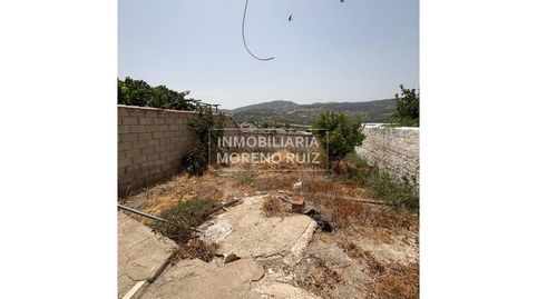 CASA EN LUQUE PRECIO MUY ASEQUIBLE., imatge 3