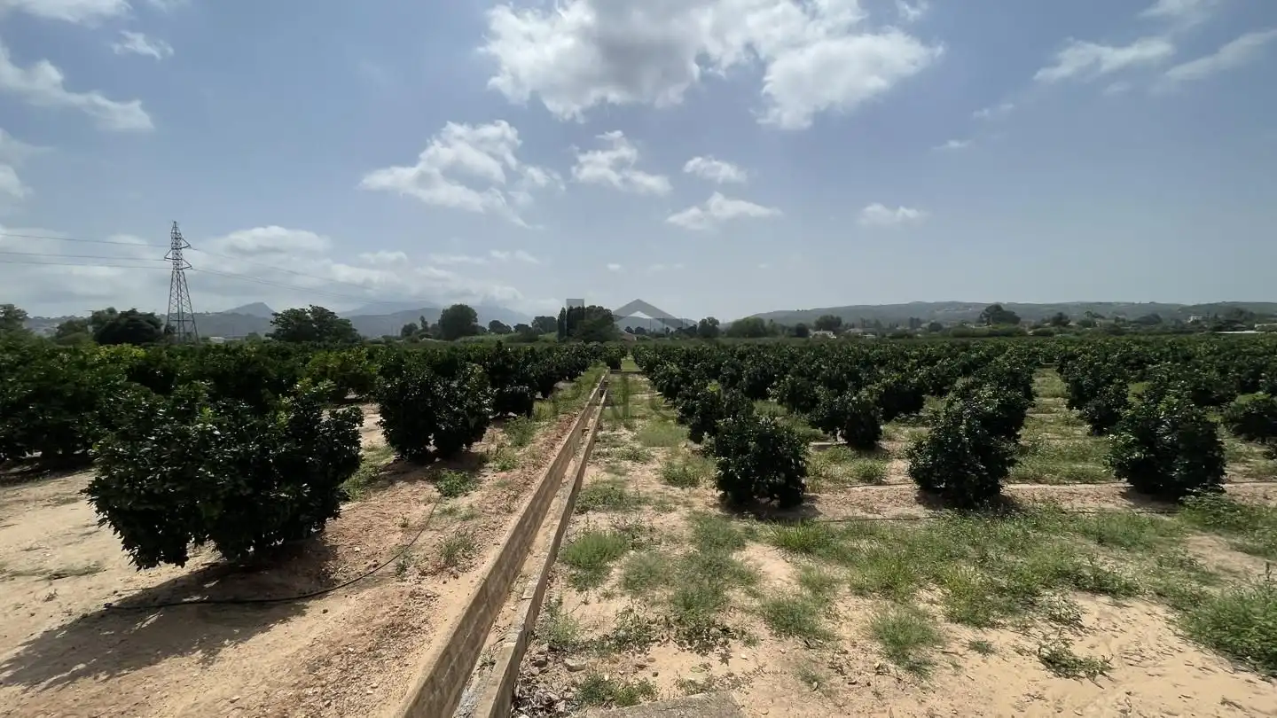 Finca rústica en venda en Alzira