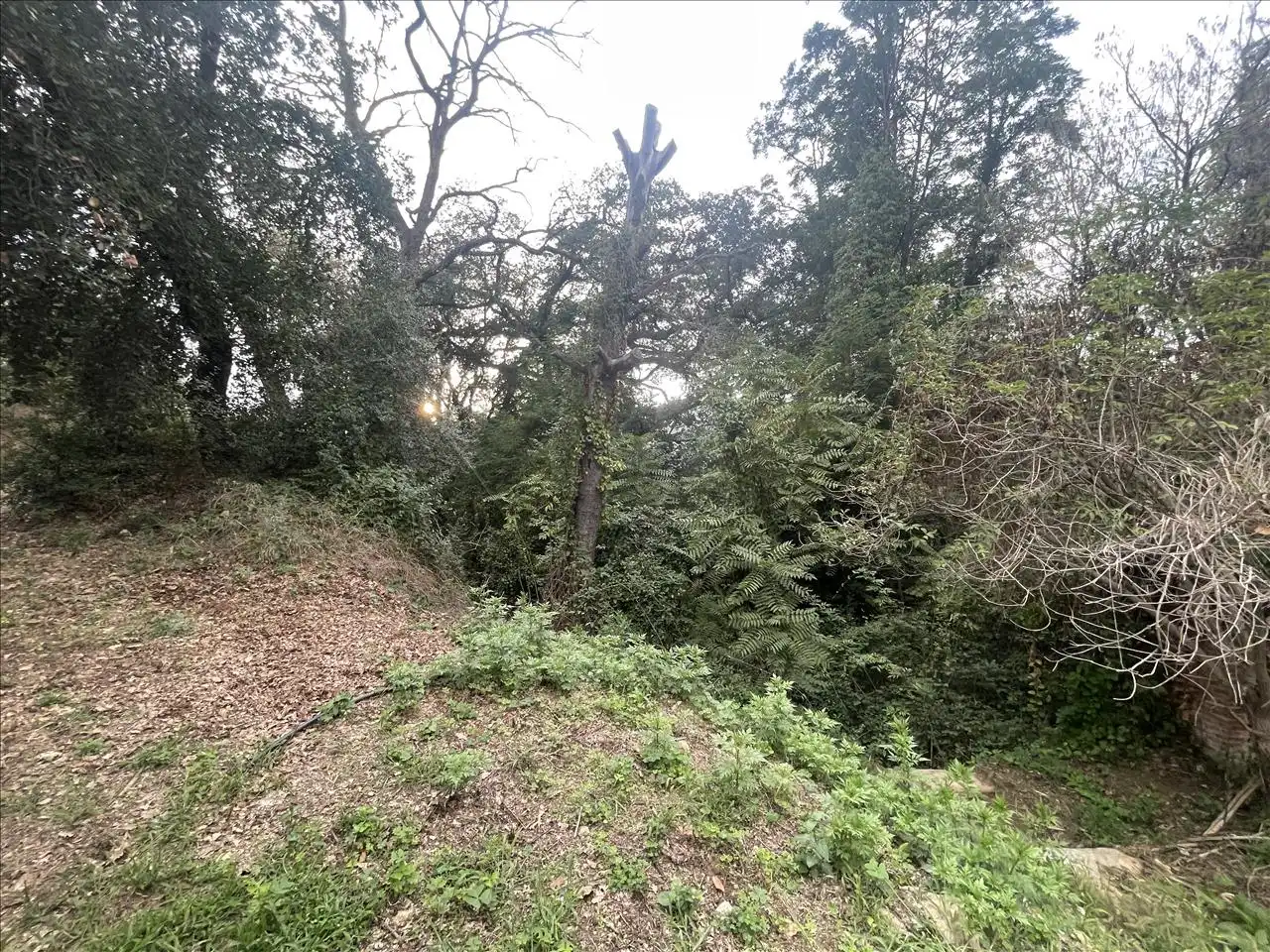 Wohnbaugrundstück zum Verkauf in PLA DE PALOU, imagen 18