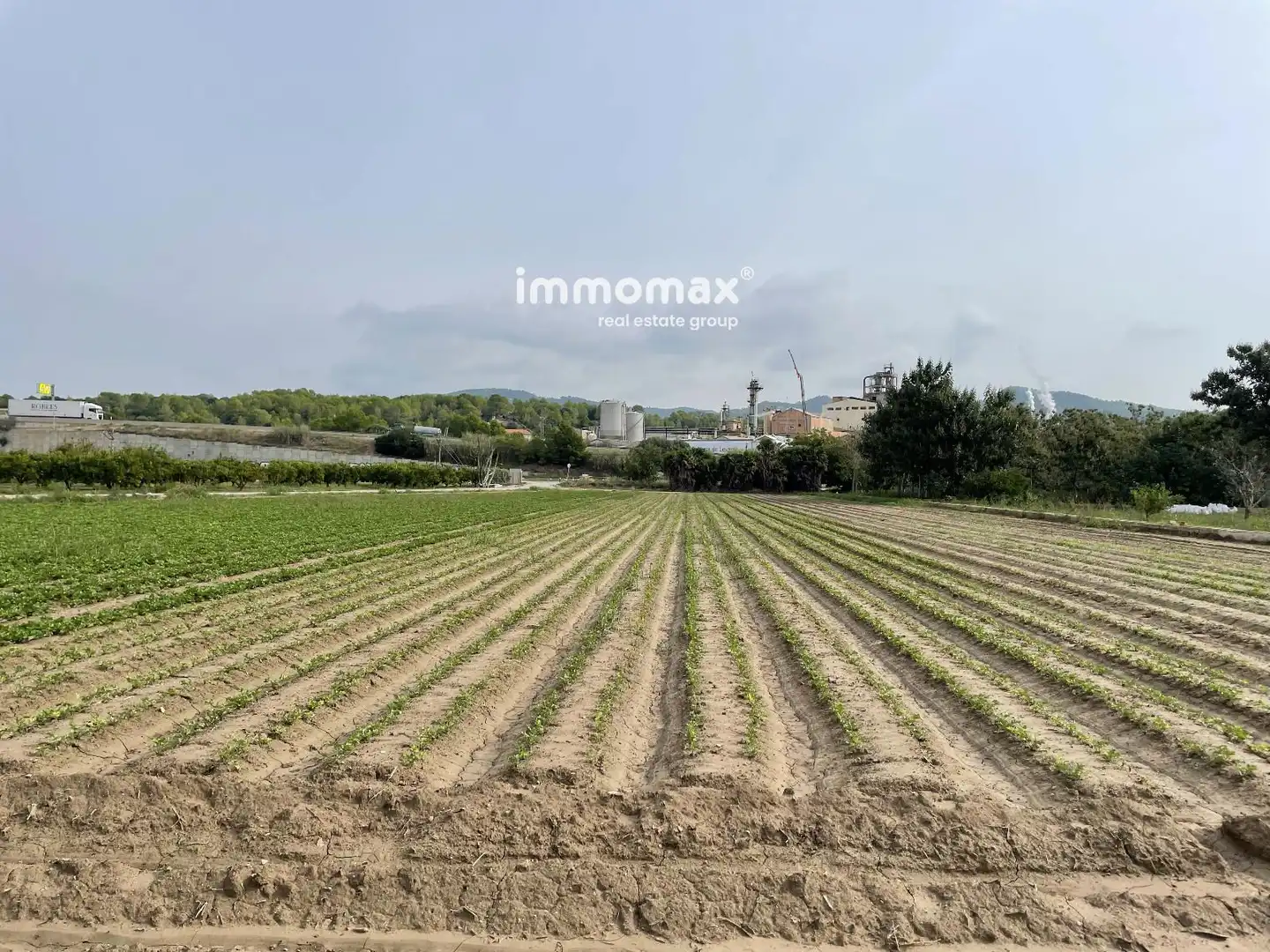 Terreno rústico en venta en 127