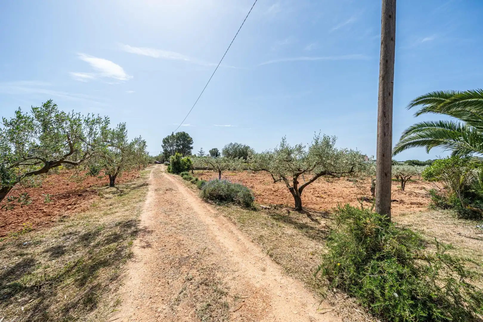 Terreno rustico in vendita a Llucmajor pueblo, imagen 17