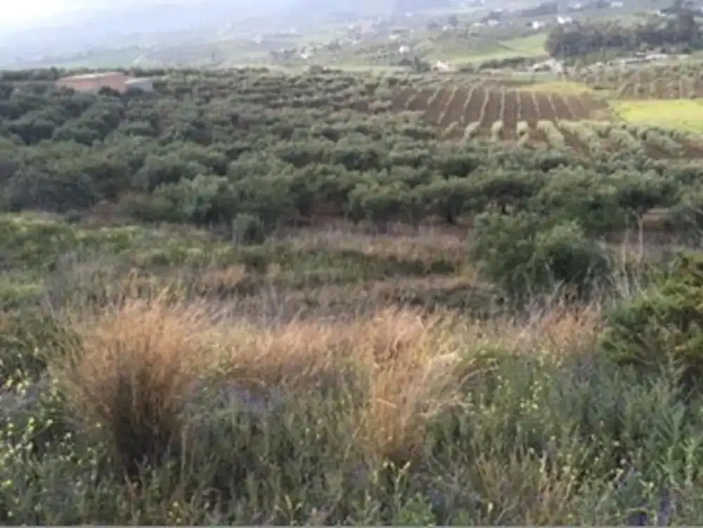 Terreni e lotti in vendita a Valtocado - La Alquería - La Atalaya, imagen 13