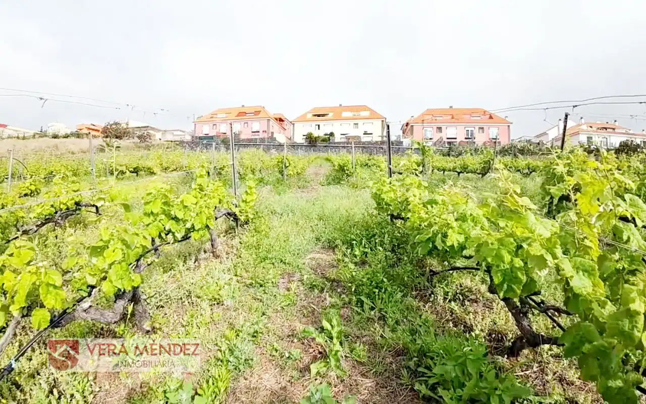 Finca rústica en venta en El Sauzal