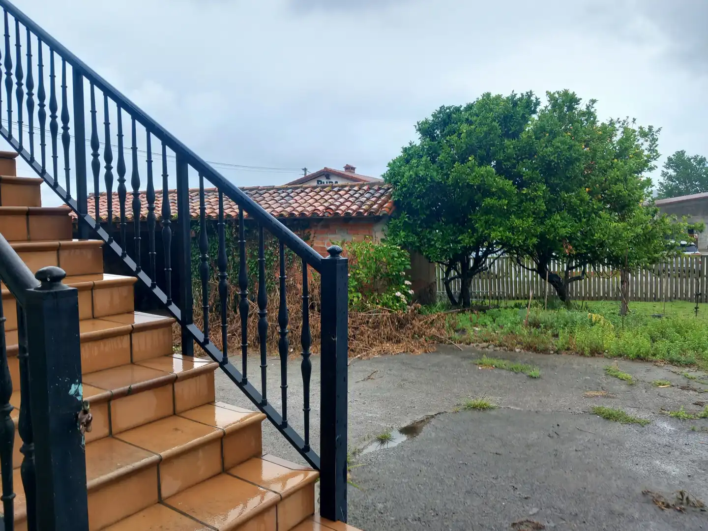 Vista exterior de Finca rústica en venta en Ribamontán al Mar