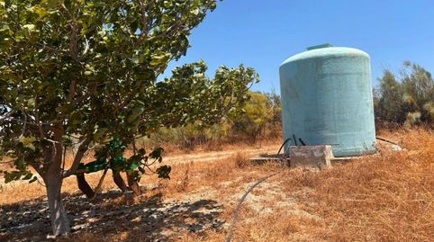 Foto 3 de Finca rústica en venda a Polígono 11 Parcela 23 Pelote. el Saucejo (sevilla, El Saucejo, Sevilla