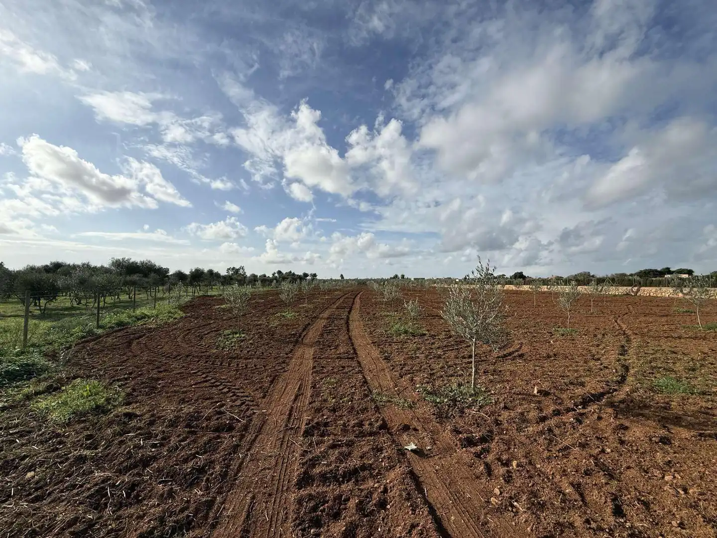 Terreno rustico in vendita a Ronda de Migjorn 64, imagen 6