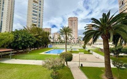 Vista exterior de Pis en venda en Benidorm amb Jardí privat, Parquet i Terrassa