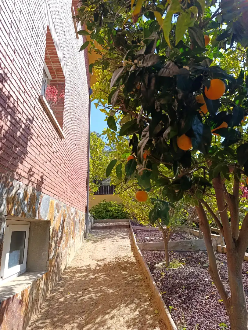 Detached house with terrace for sale in Montalnou - Milans del Bosc, imagen 88