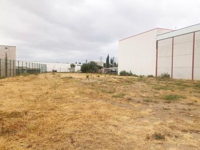 Industrial land for sale in Alcalá de Henares
