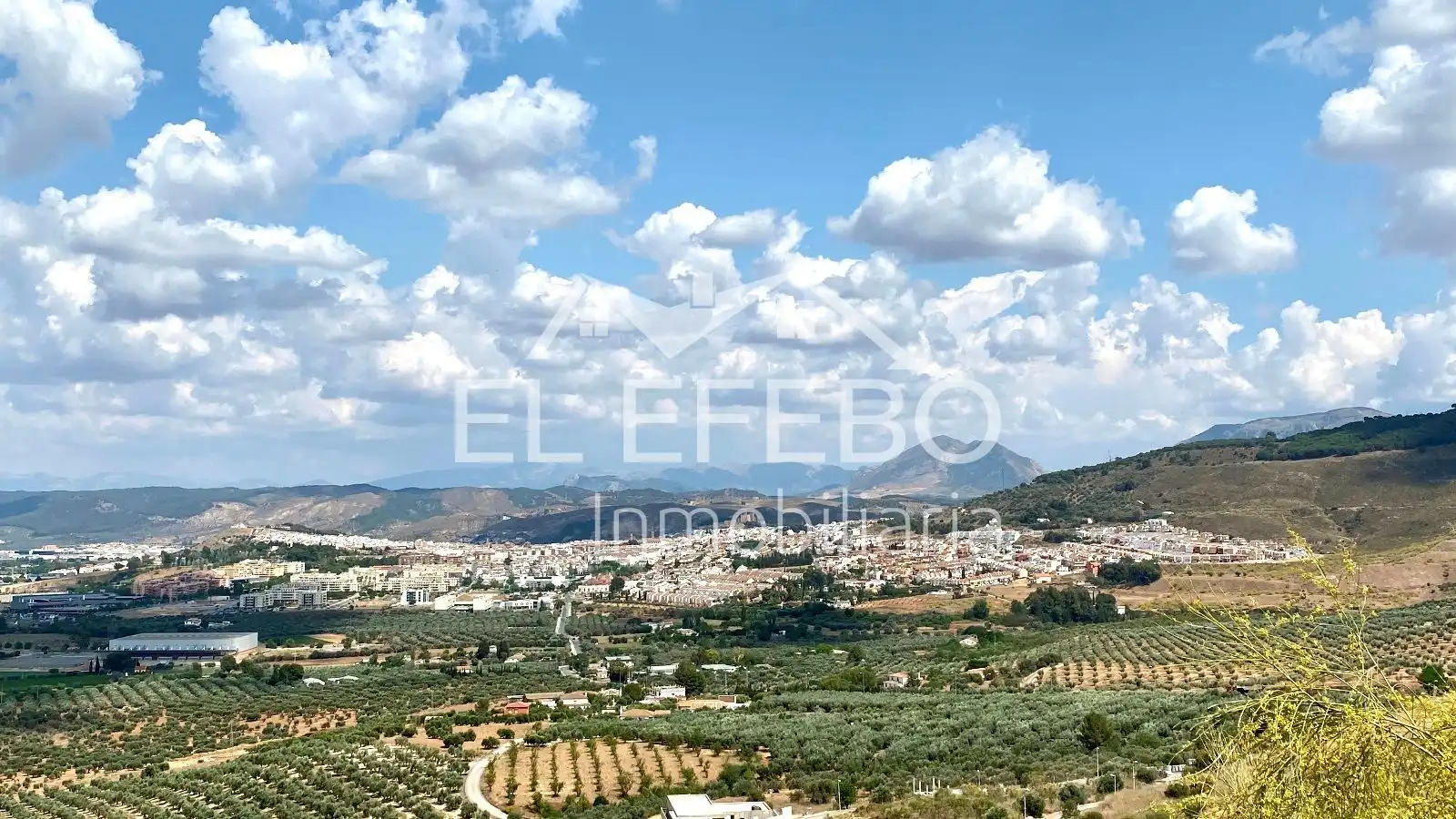 Residential land for sale in Antequera Golf, imagen 4