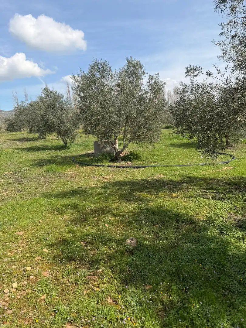 Grundstücke und Bauplätze zum Verkauf in Malagón, imagen 28