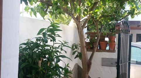 Foto 3 de Casa adosada de alquiler en Los Gallos, Chiclana de la Frontera