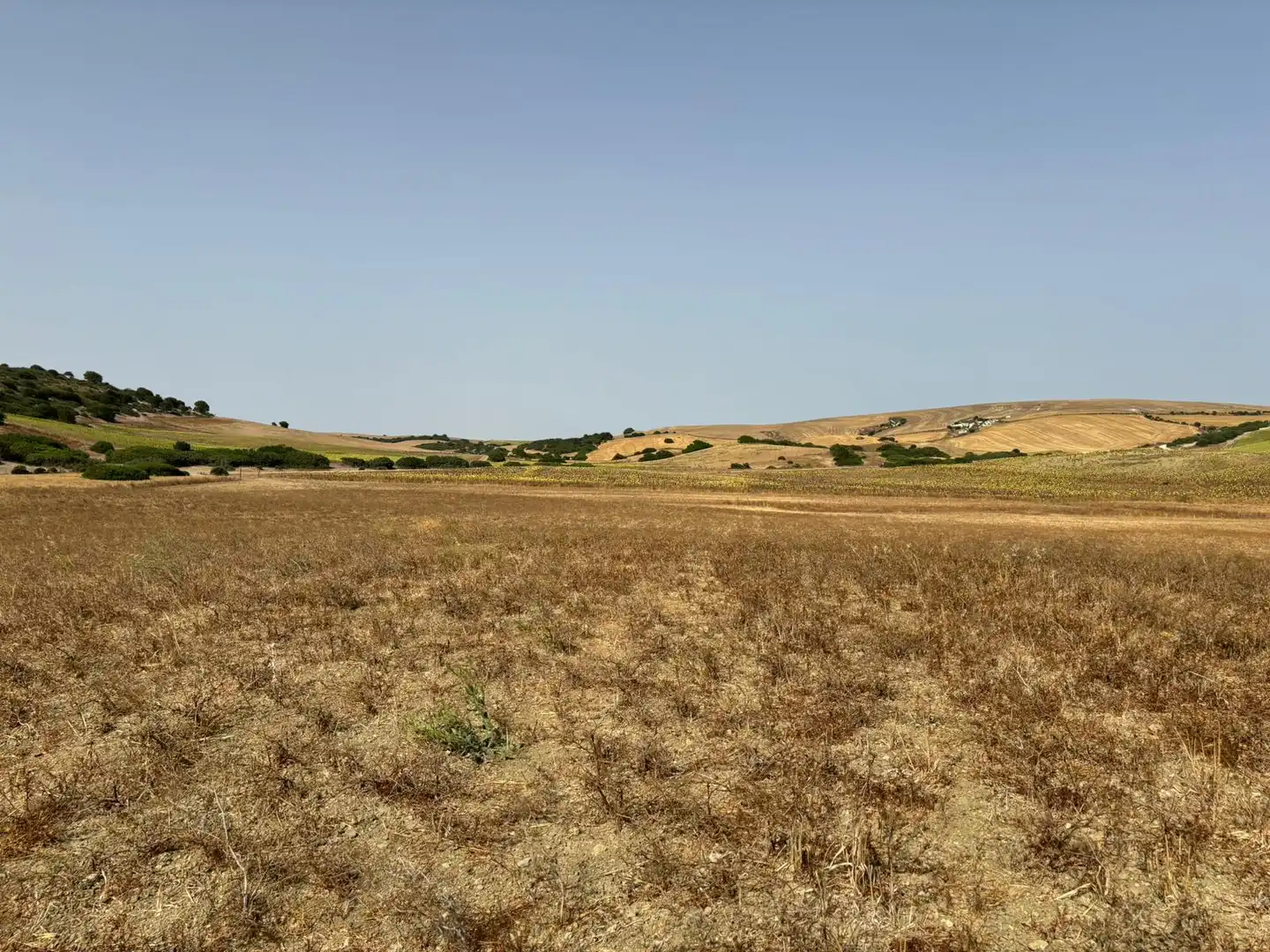 Terreni e lotti in vendita a Lugar el Berrueco, imagen 8