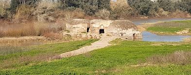 Photo 2 of House or chalet for sale in Calle Pablo Picasso, Alcolea del Río, Sevilla