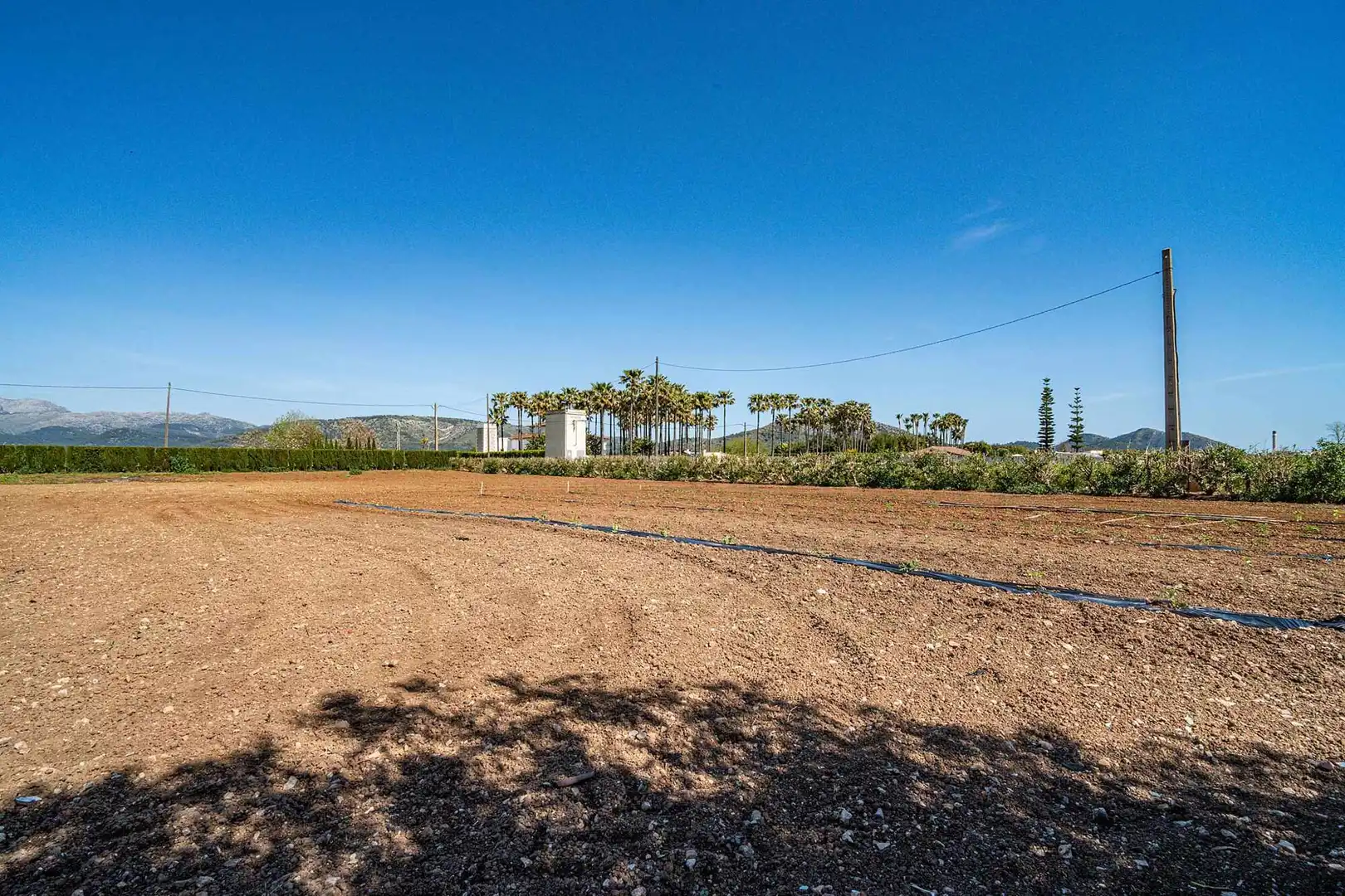Finca rústica en venda en Sa Pobla amb Terrassa i Moblat