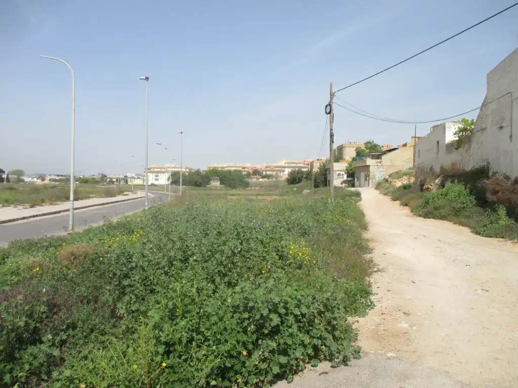 Terreno rustico in vendita a C/ Els Molins, imagen 6