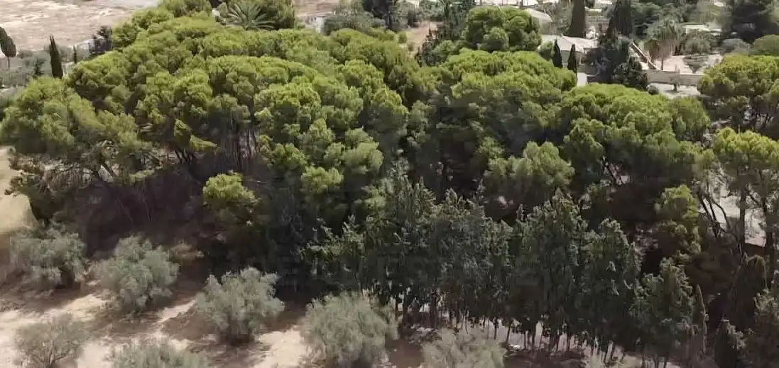 Finca rústica en venda en Alicante / Alacant amb Terrassa i Piscina