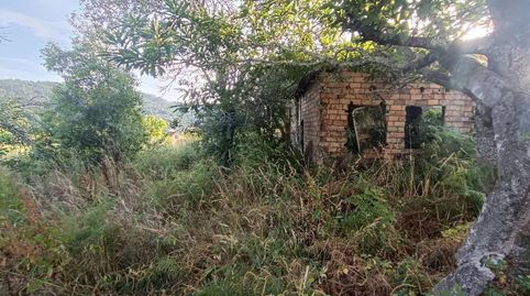 Finca con casa en venta Mondariz, imatge 5
