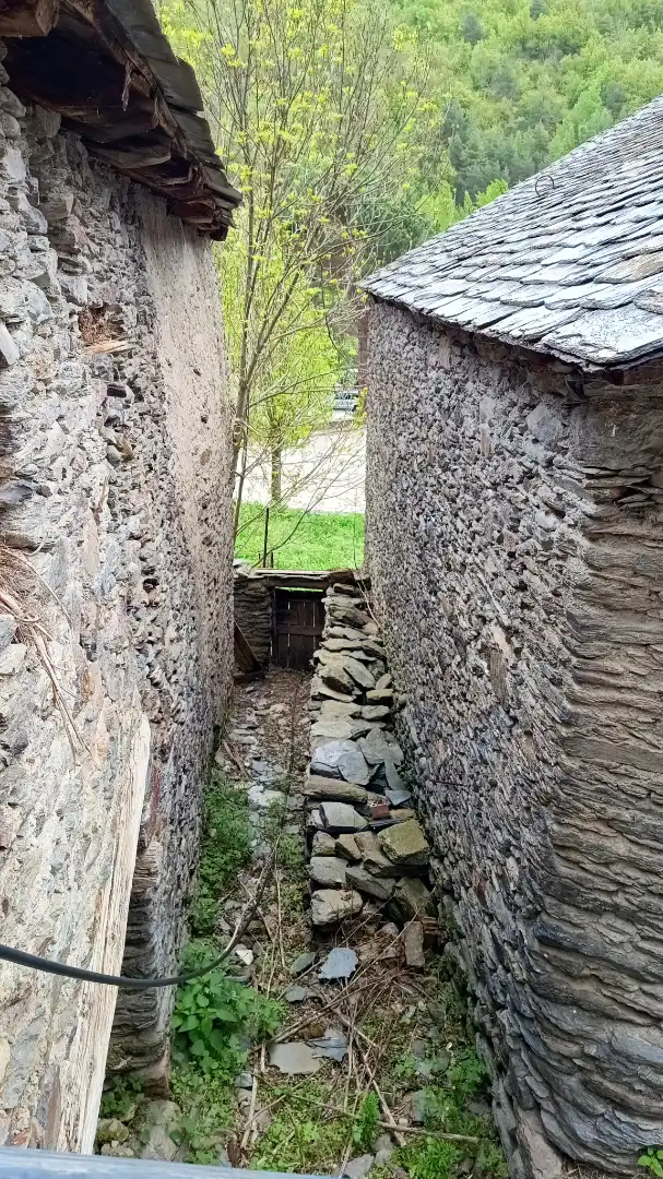 Finca rústica en venta en Alins con Jardín privado