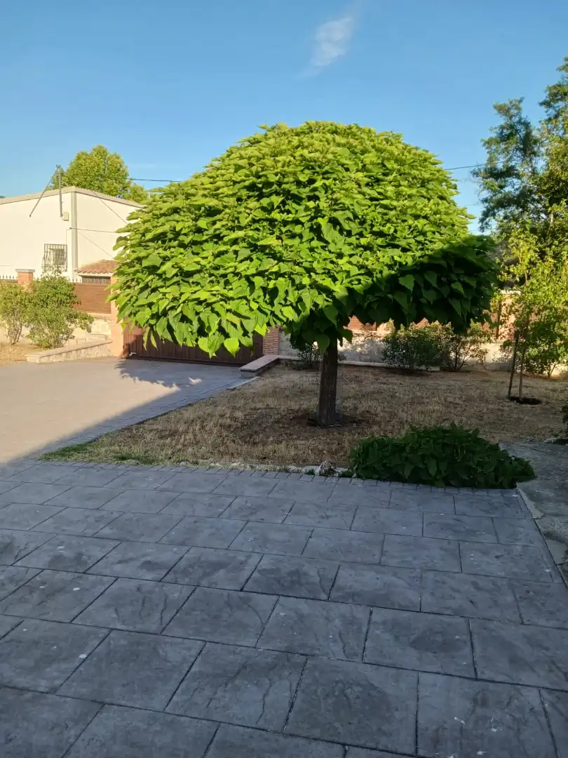 Casa o chalet en venta en Aldea del Fresno con Aire acondicionado, Calefacción y Jardín privado