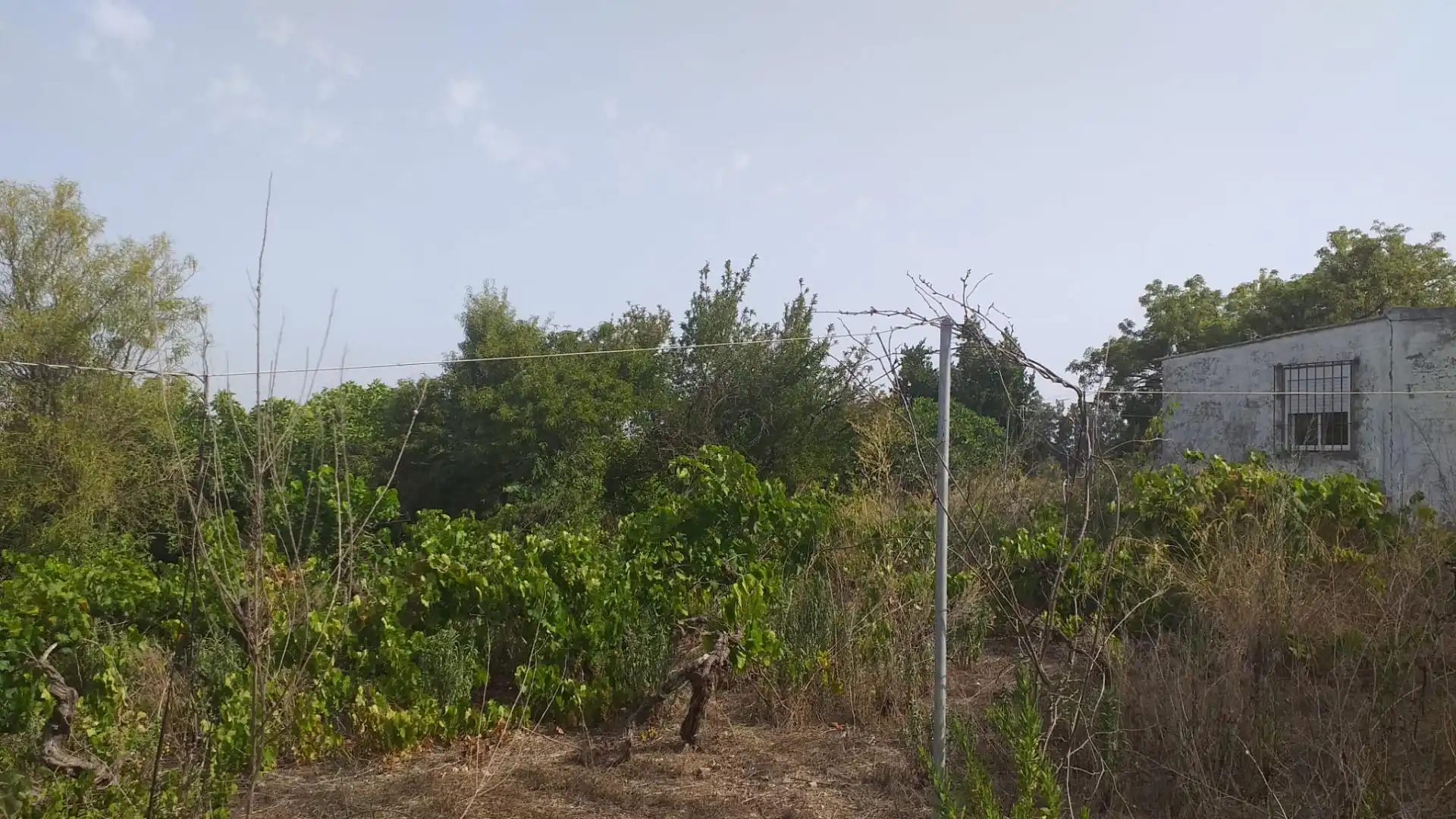 Rural land for sale in El Rocío - La Milagrosa, imagen 13