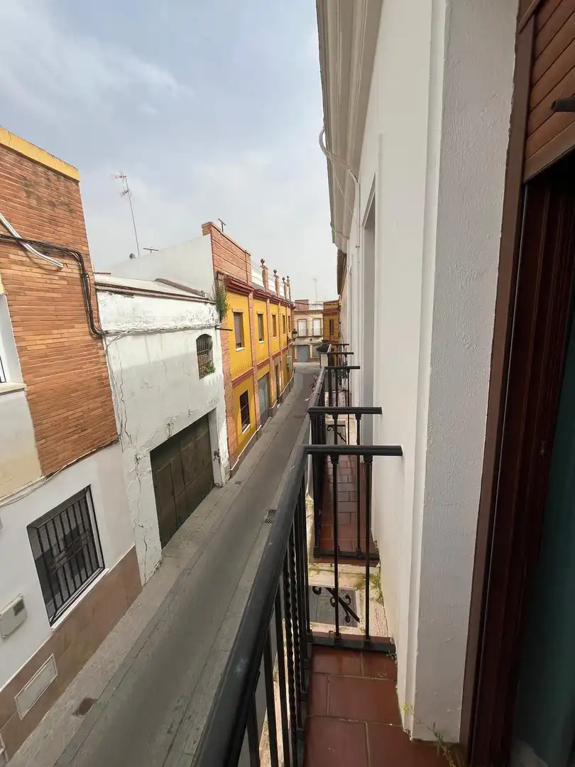 Vista exterior de Casa o chalet en venta en Mairena del Alcor