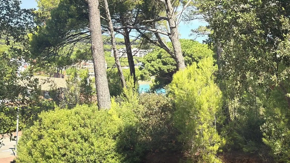 Lands and plots for sale in Sa Tamardia 19, imagen 4