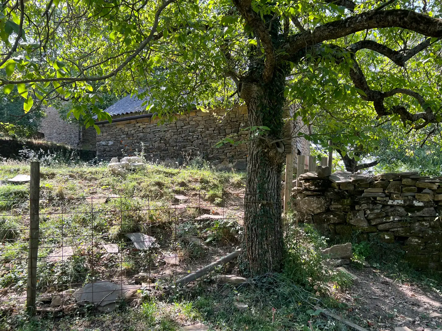 Land for sale in Broto
