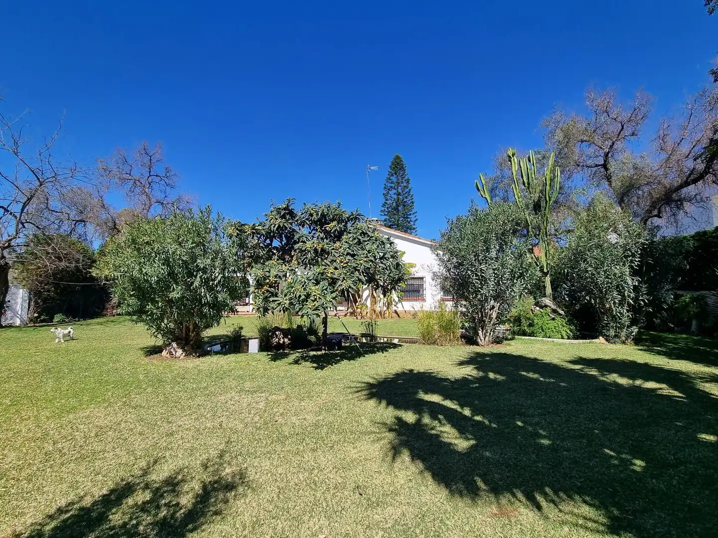 Villa con piscina in vendita a Avenida José Banús 32, imagen 35