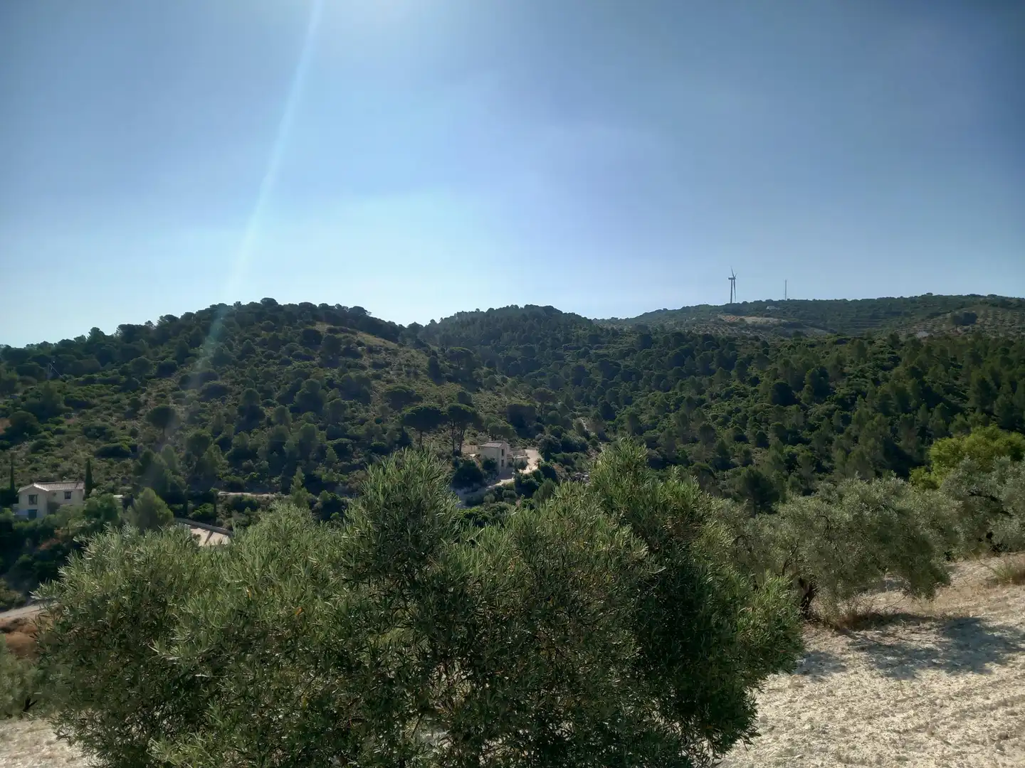 Finca rústica en venta en San Antonio O Guardarropa Pol 115.par 8,9 y 15, Osuna
