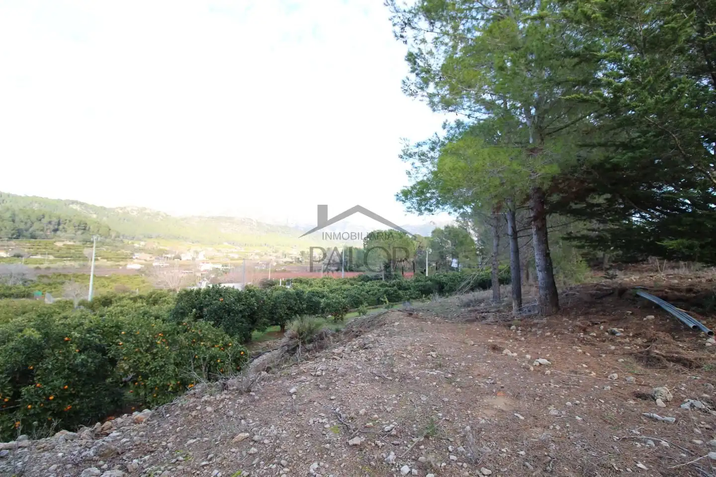 Terrenos y solares en venta en barranc del salt, imagen 3