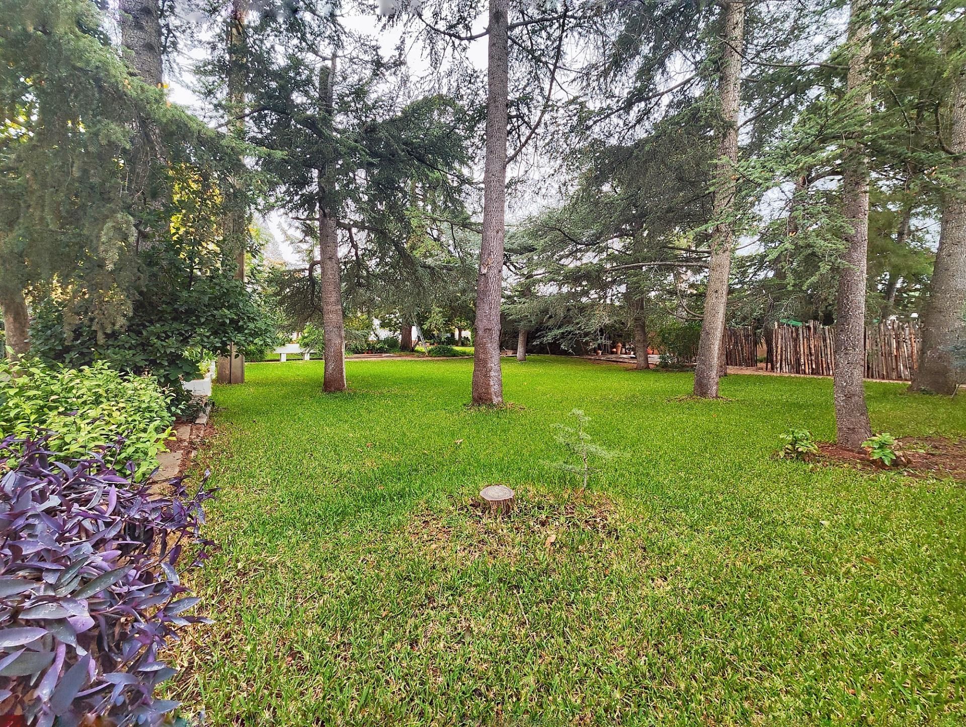 Jardí de Casa o xalet en venda en Puertollano amb Aire condicionat, Calefacció i Jardí privat