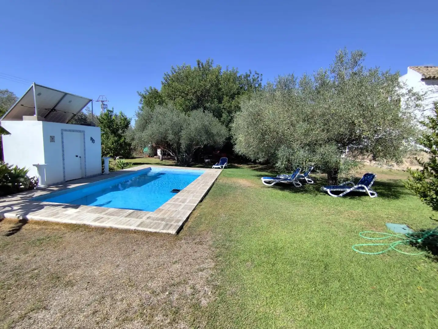 Piscina de Casa o xalet en venda en Arcos de la Frontera amb Terrassa