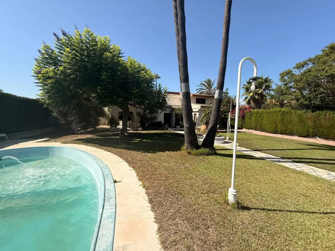 Casa con piscina en venta en Avenida Pinos, imagen 2