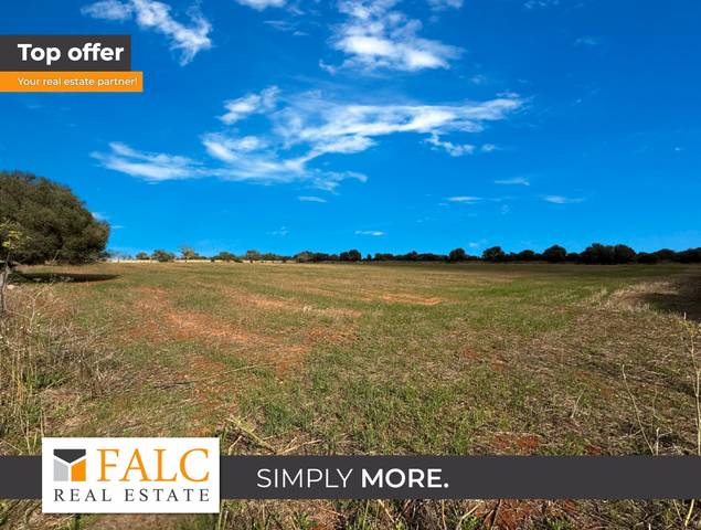 Terreno residencial en Venta en Cala Figuera