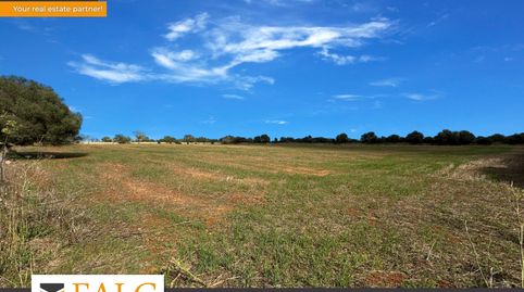 Exclusivo terreno entre Santanyi y Cala Santanyi con 20.000 m.