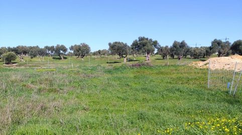 Photo 5 of Residential for sale in Villanueva Golf, Puerto Real