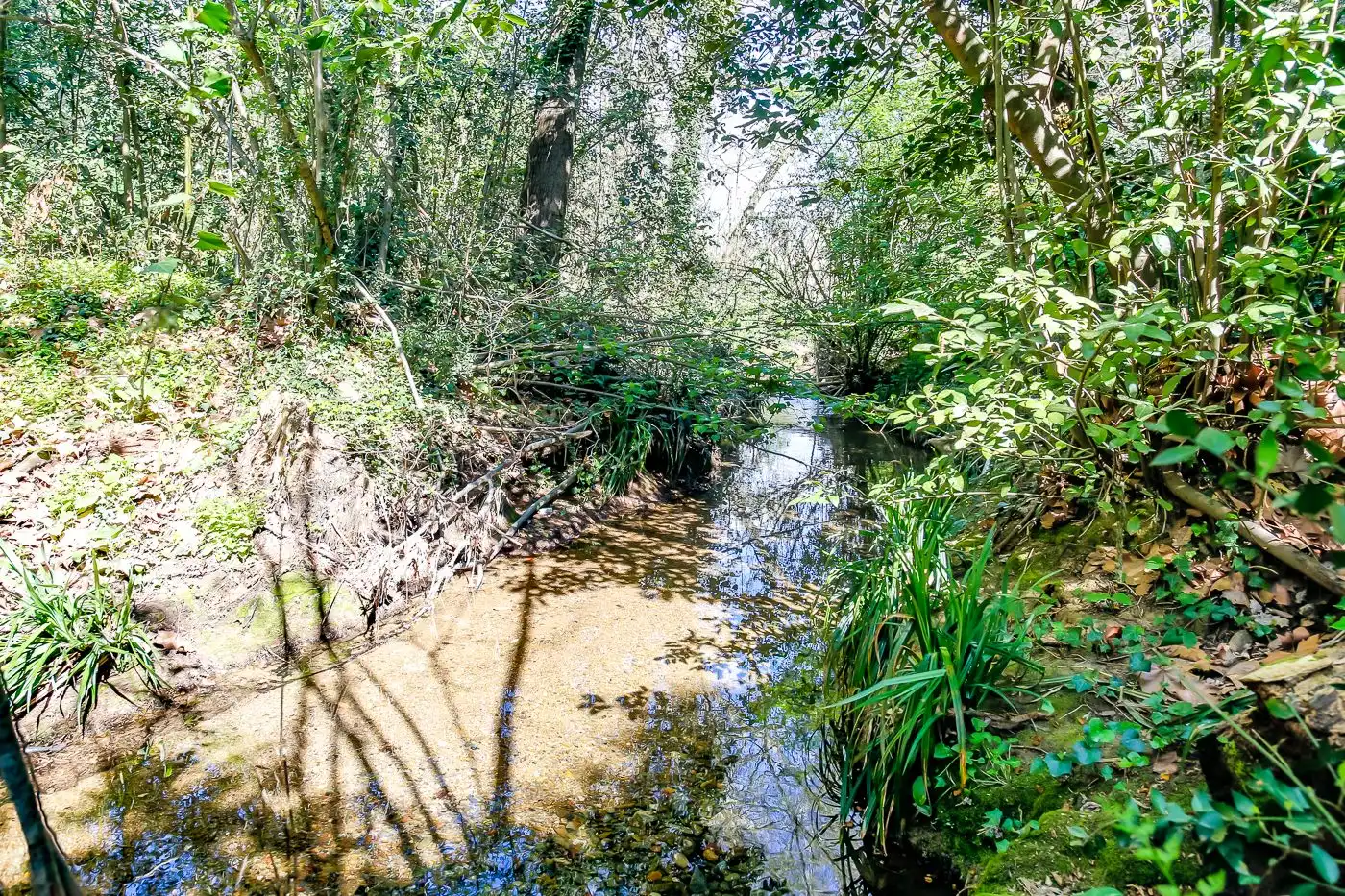 Finca rústica en venta en Sant Antoni de Vilamajor