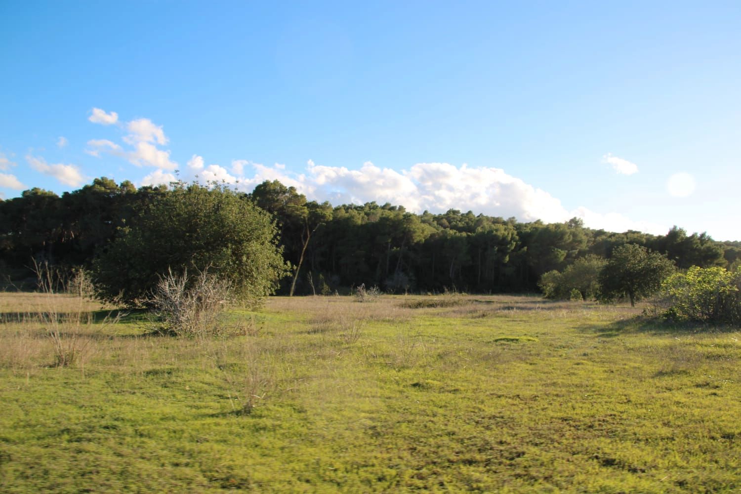 Land for sale in Santa Eulària des Riu