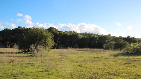 Photo 2 of Land for sale in Santa Gertrudis, Illes Balears