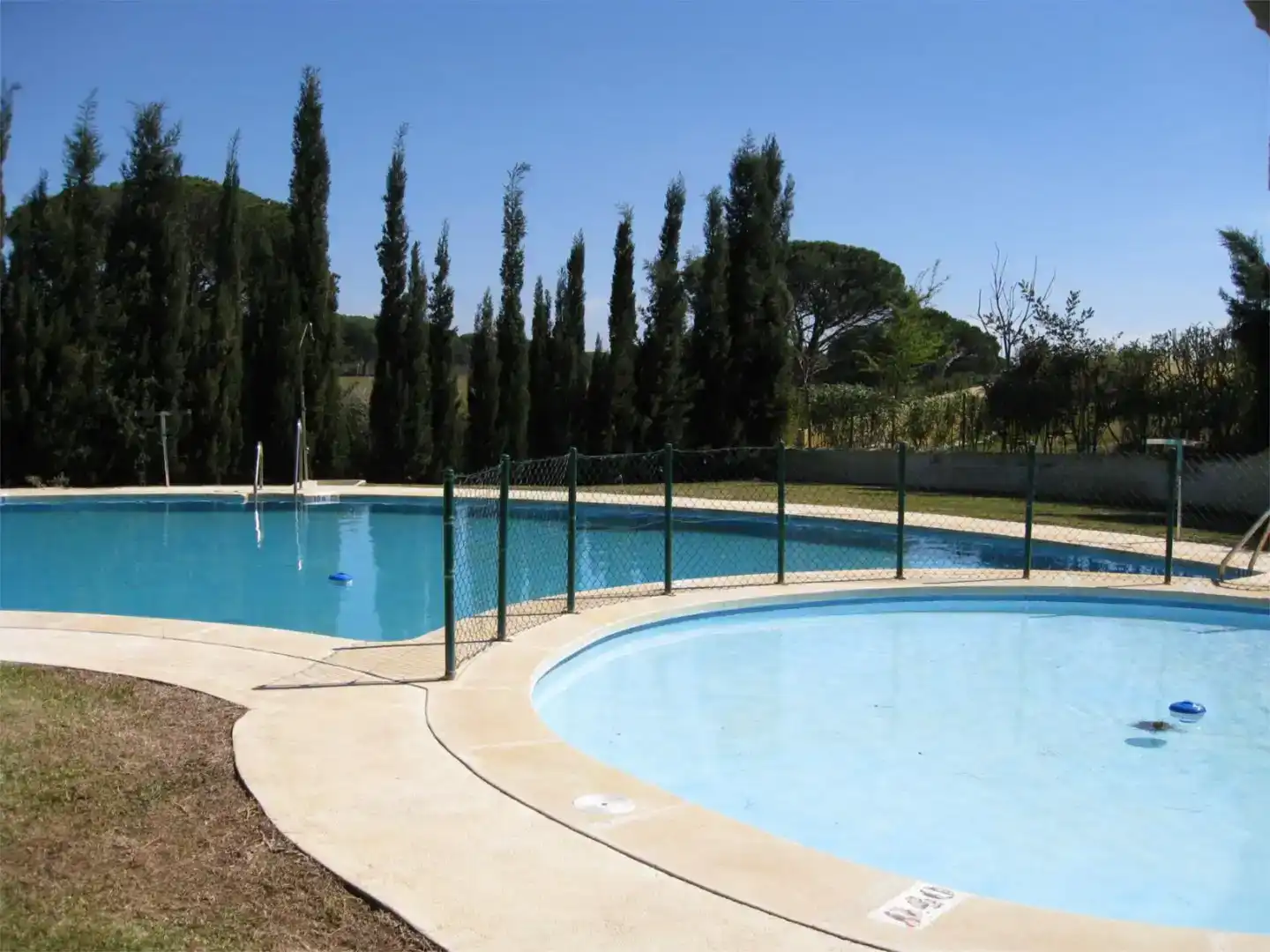 Swimming pool of Houses for rent in Roche  
