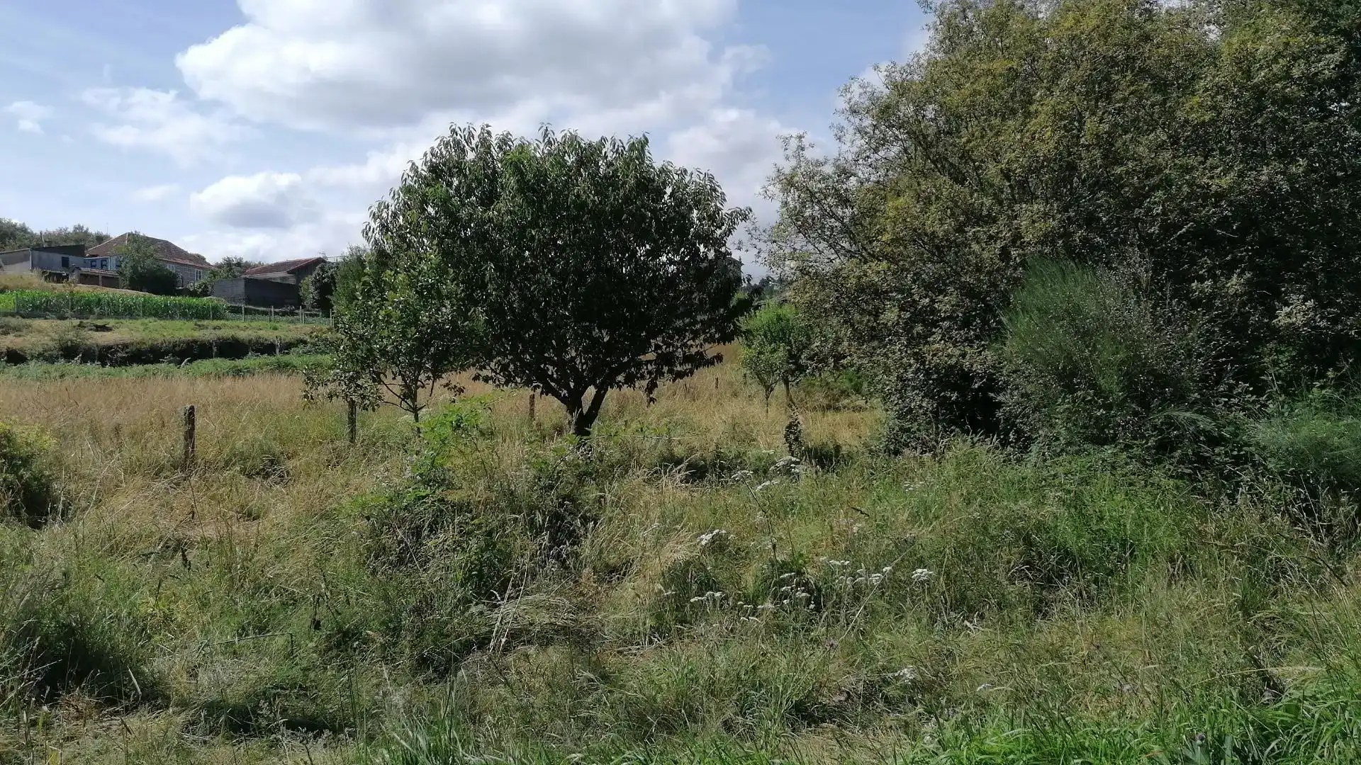 Casa o chalet en venta en Boborás