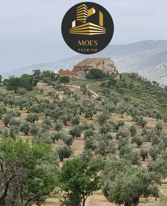 Wohnbaugrundstück zum Verkauf in La Guardia de Jaén, imagen 15
