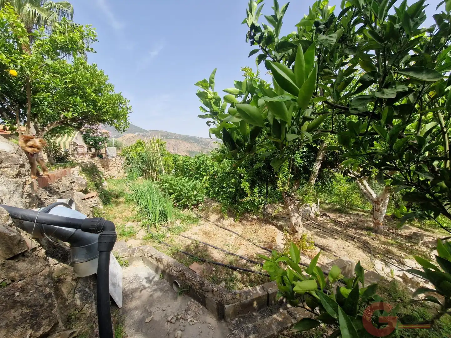 Country house zum Verkauf in El Pinar mit Terrasse und Schwimmbad