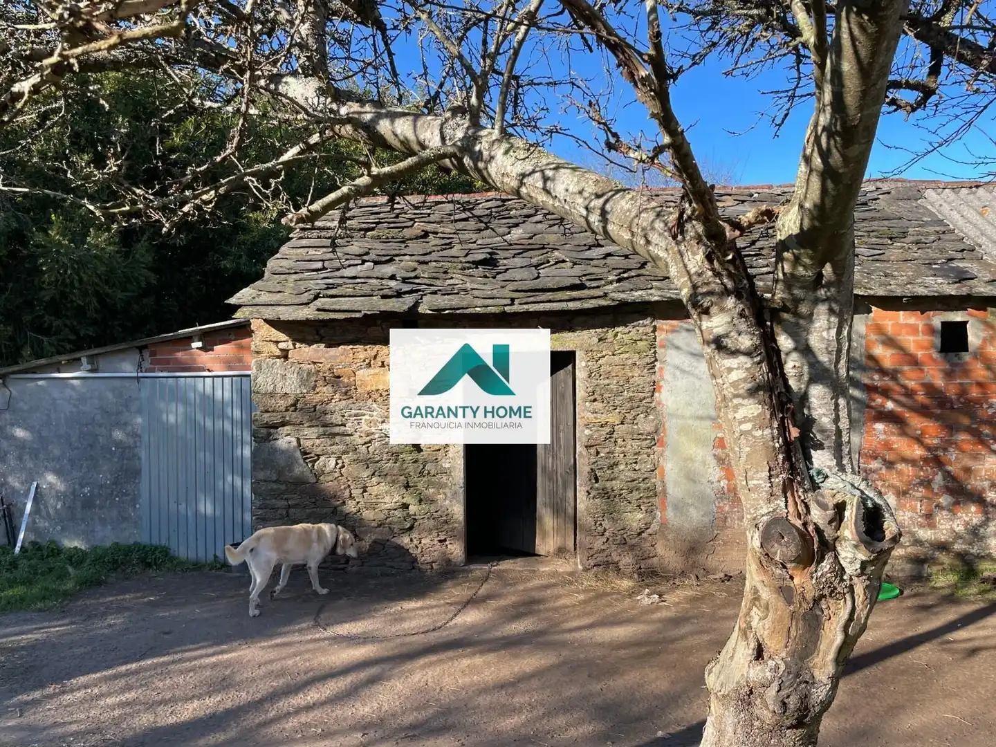 Vista exterior de Casa o chalet en venta en Aranga con Jardín privado
