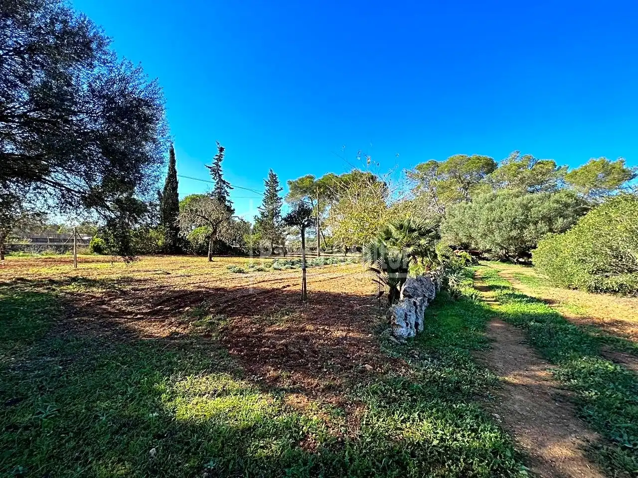 Terreno rustico in vendita a Algaida, imagen 5