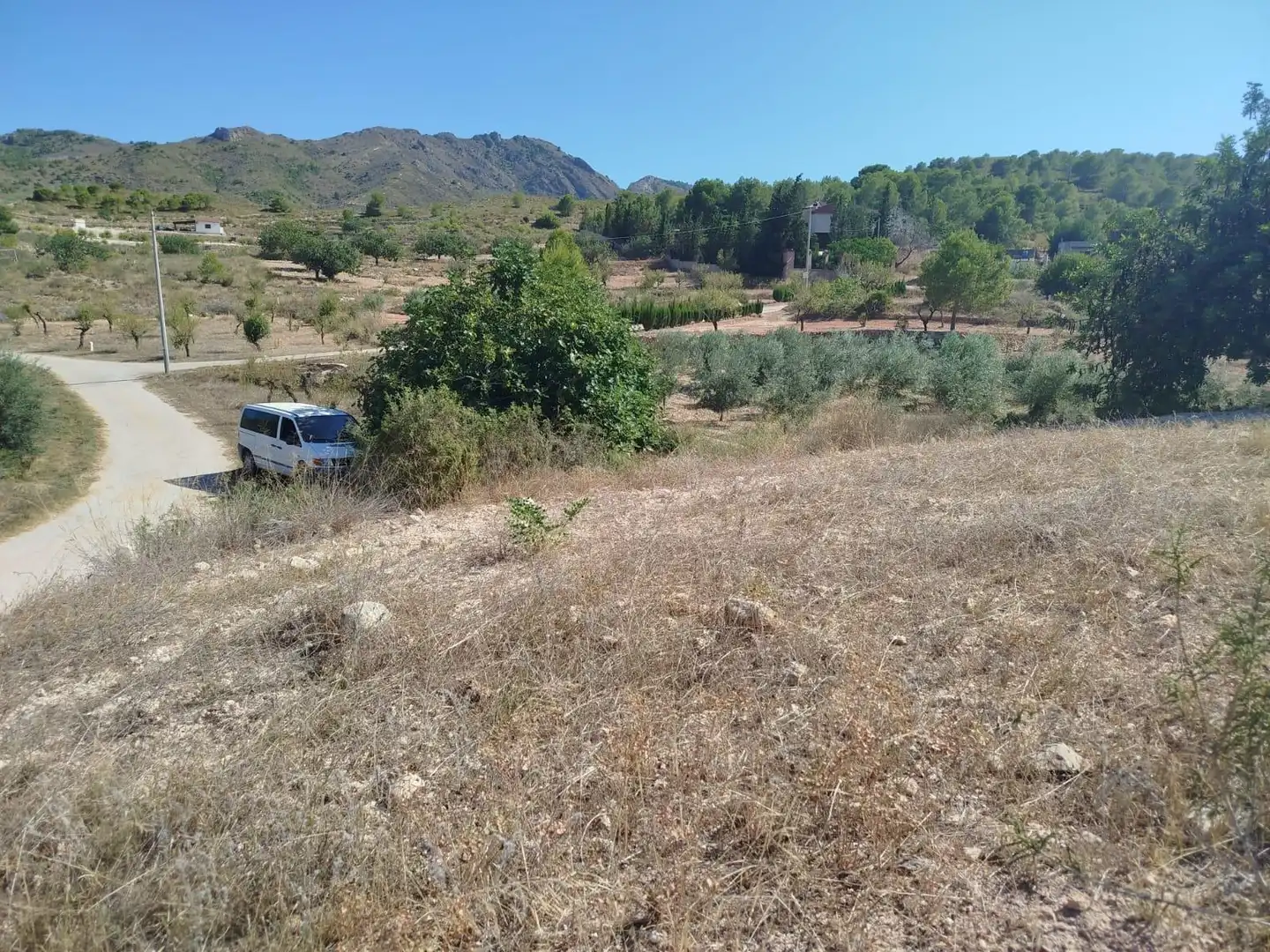 Terreno rústico en venta en Pedanías Oeste, imagen 6