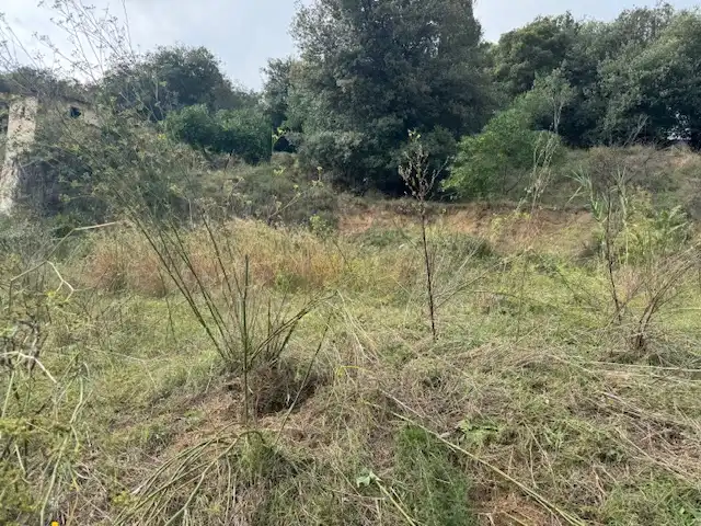 Wohnbaugrundstück zum Verkauf in Antonio Torrent I Martori, S/N, imagen 7